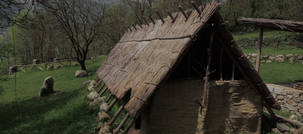cam7